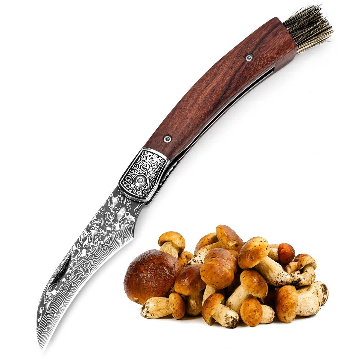 DRACHENADER Pilzmesser mit Bürste/Pinsel (integriert), Schwammerlmesser aus 67 Lagen Vg10 Damaststahl, Handgeschmiedet, §42a konform, Mushroom Knife (Liner Lock), Zwihandmesser für Camping